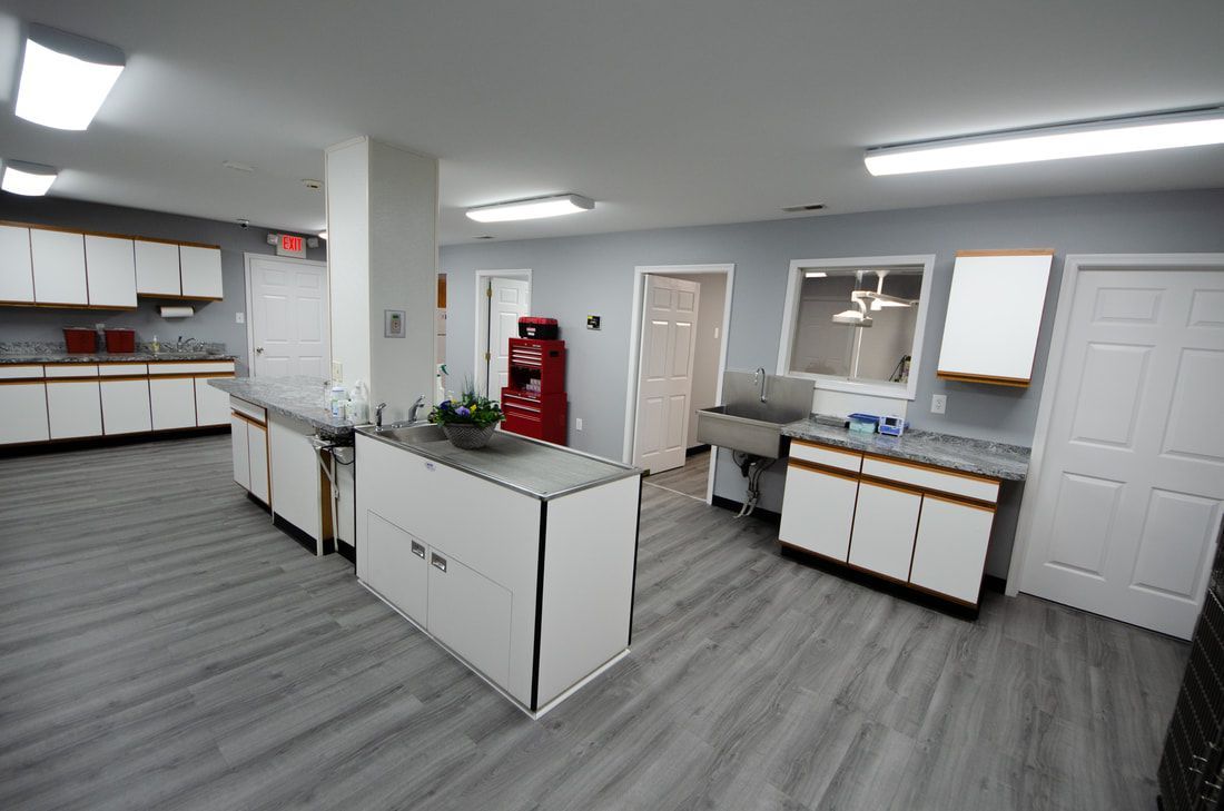 Treatment Room