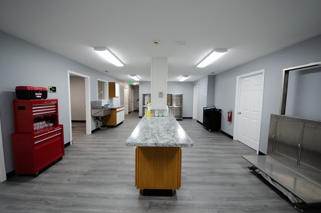 Treatment Room