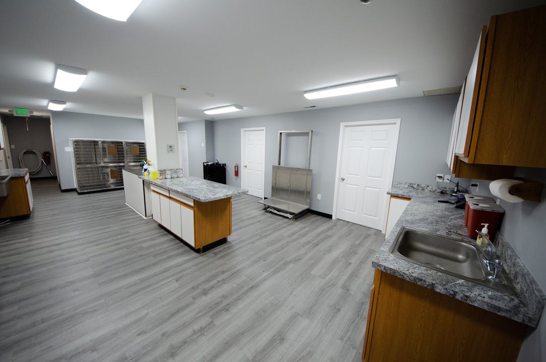 Treatment Room