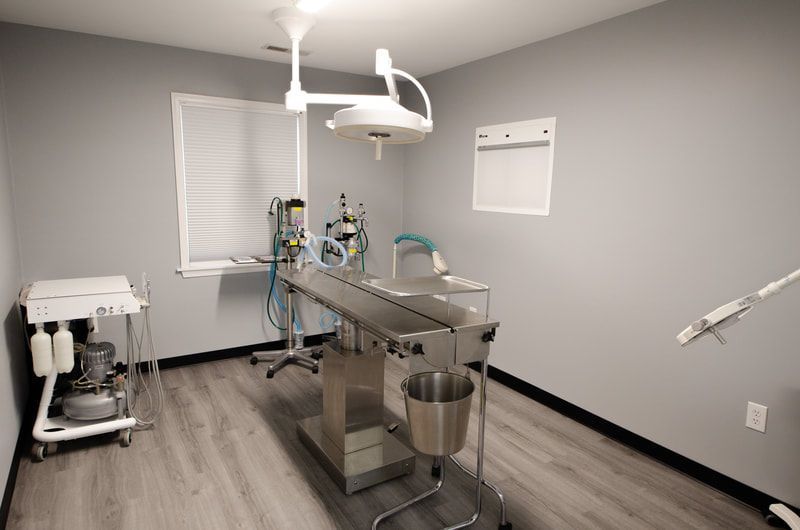 Surgery Suite