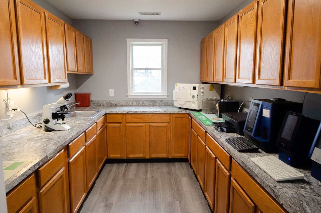 In-house Laboratory