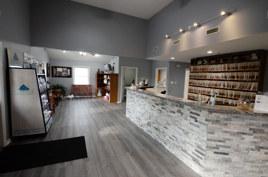Waiting Room and Reception Desk