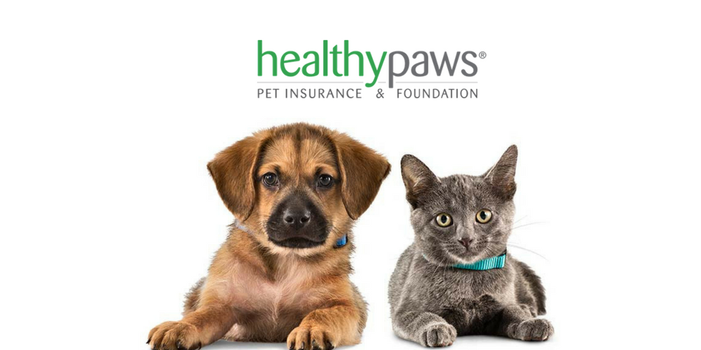Healthy Paws logo
