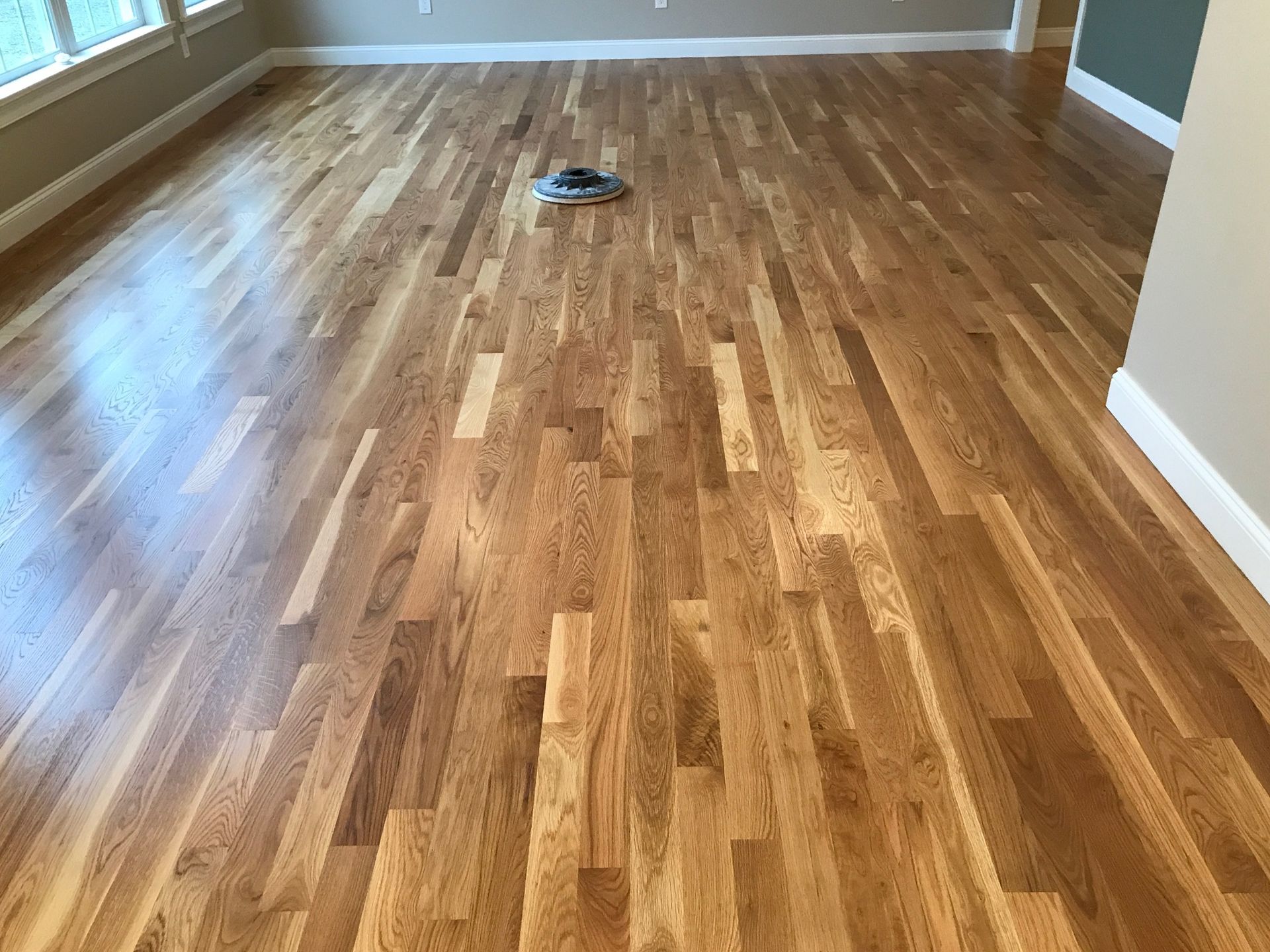 Wood floor in a room with natural light, featuring a light-brown hue and a glossy finish.