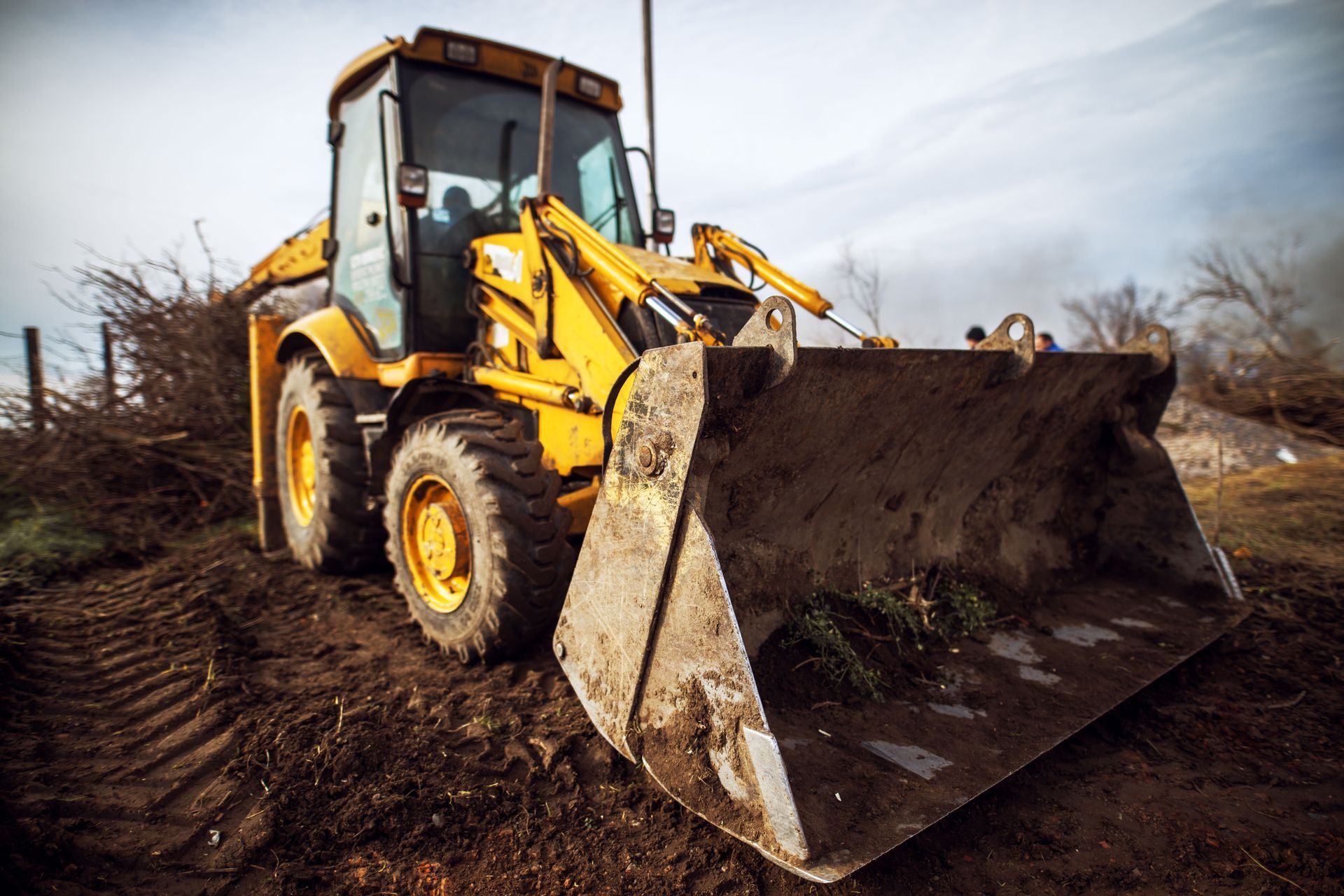 Land clearing 