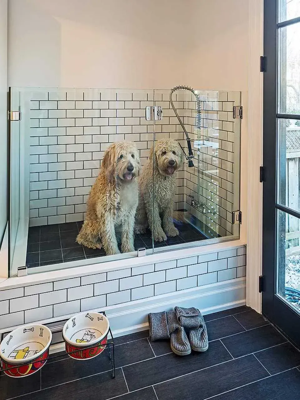 Two fluffy dogs sitting in a glass-walled shower, with pet bowls and a toy on a tiled floor.