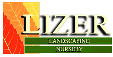 Lizer Landscape & Nursery-Logo