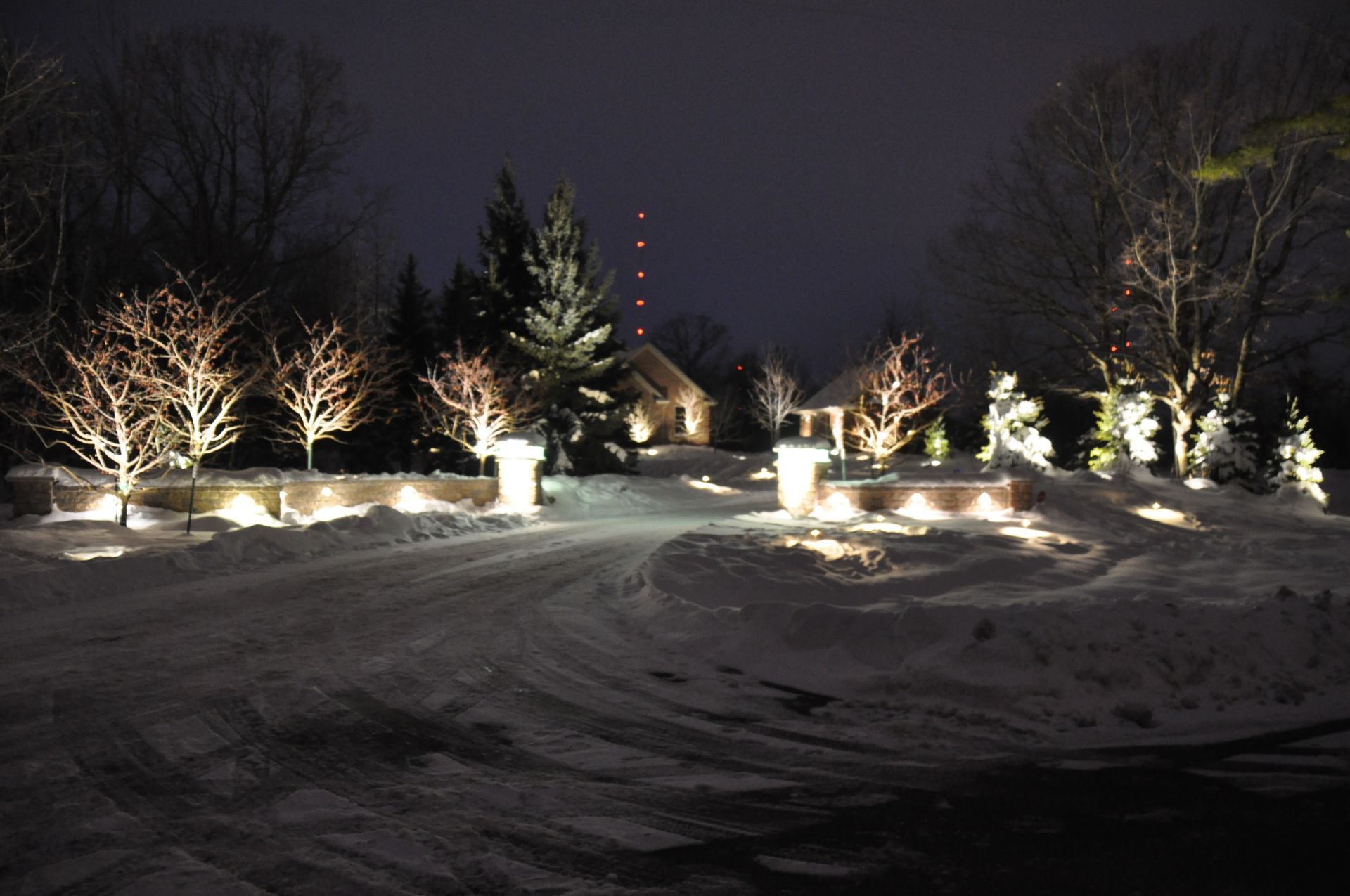 A snowy driveway with trees lit up at night