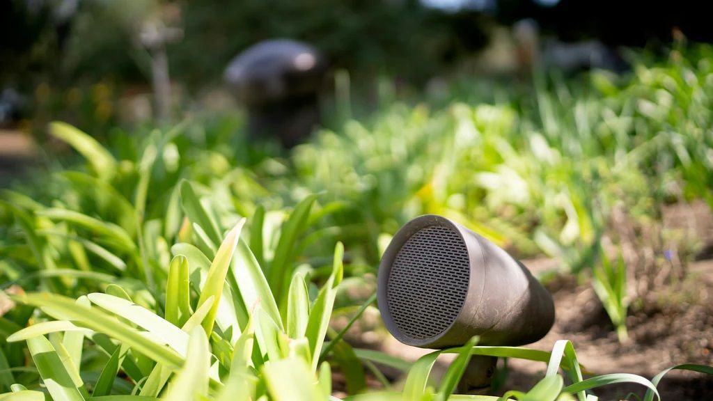 A speaker is sitting in the grass in a garden.