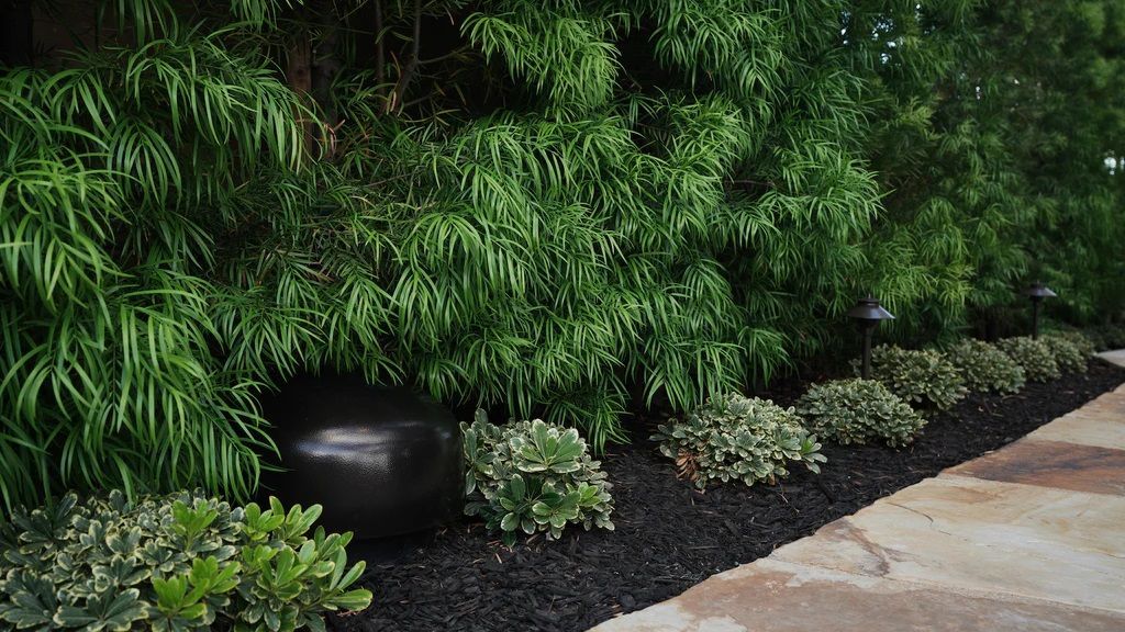 A walkway surrounded by trees and bushes with black mulch.