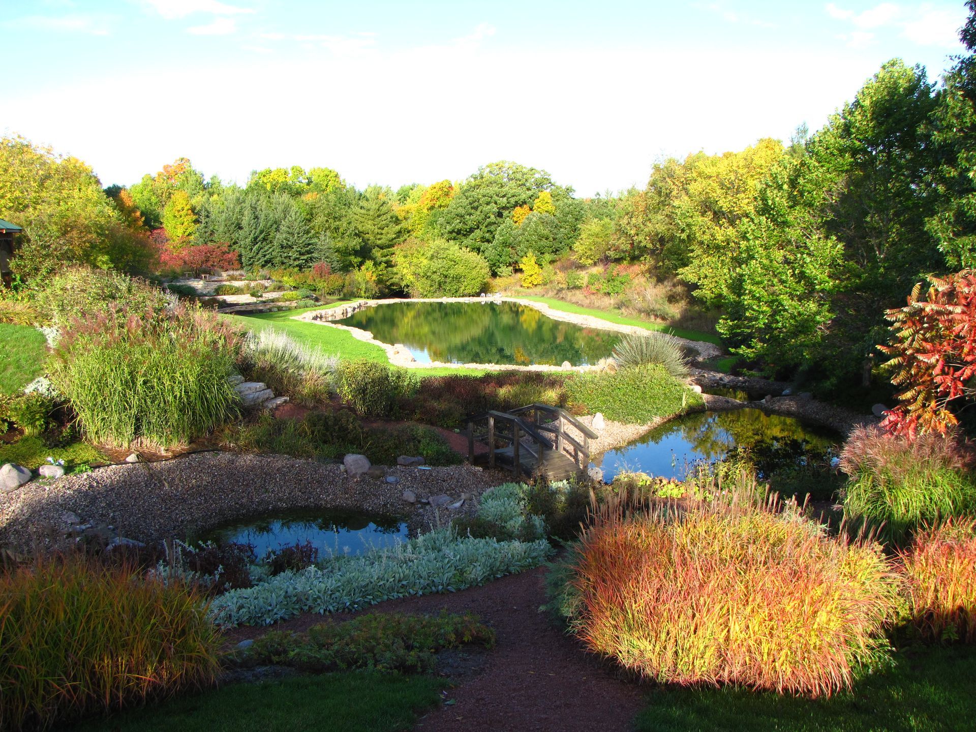 A lush green park with a pond in the middle