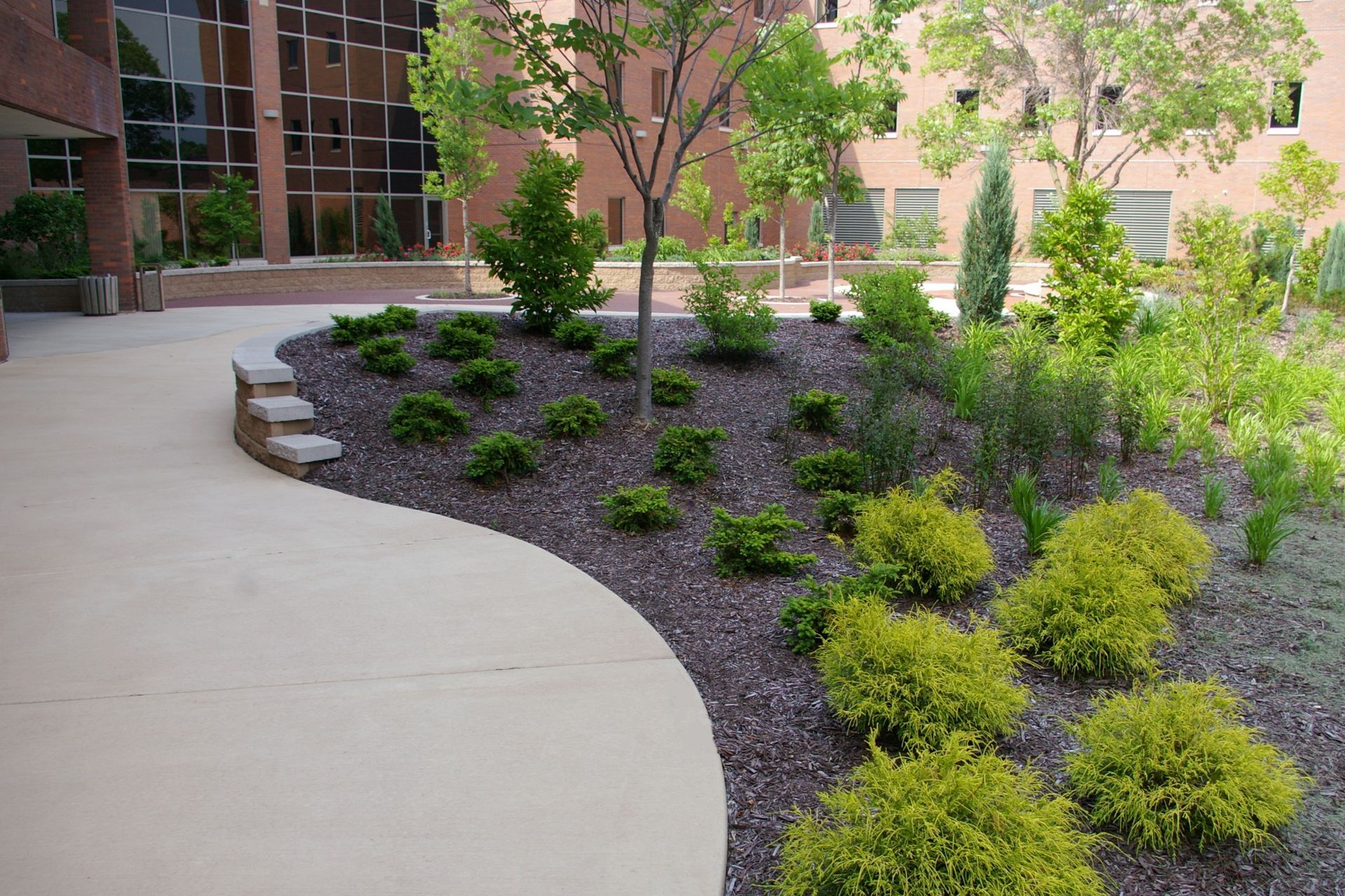 A garden with trees and bushes in front of a building