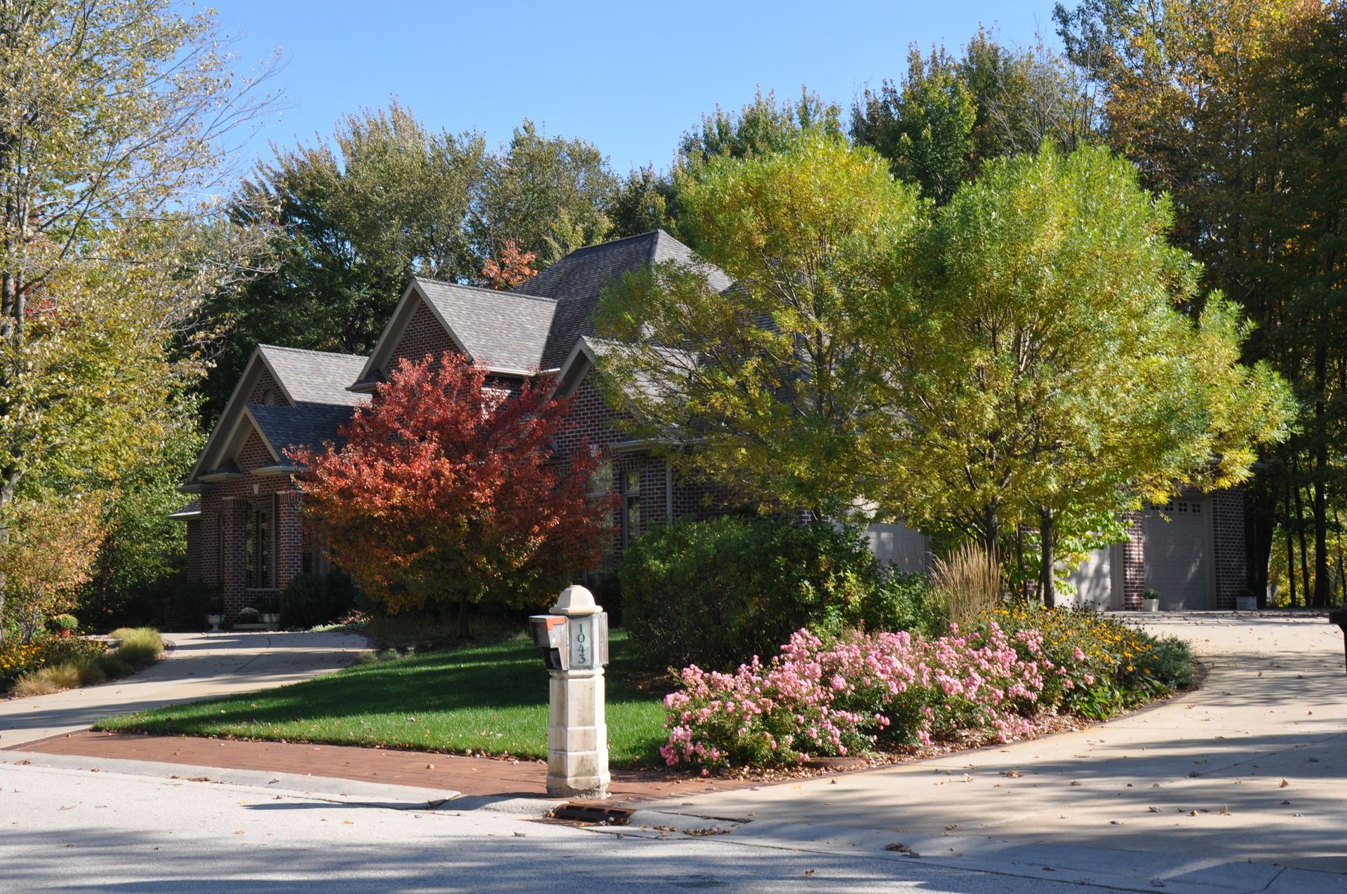 A house with a lot of trees in front of it