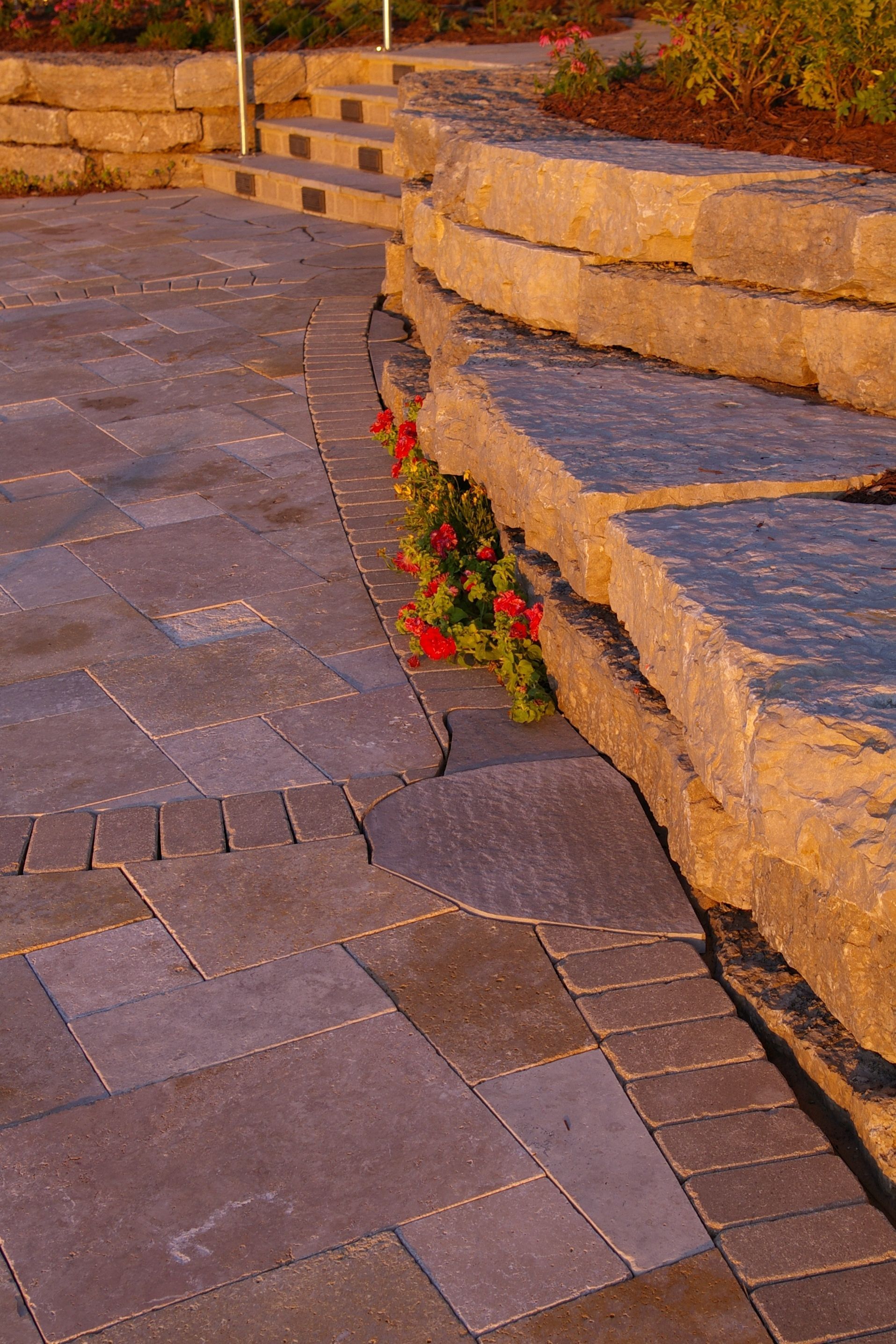 A stone walkway with flowers growing out of it