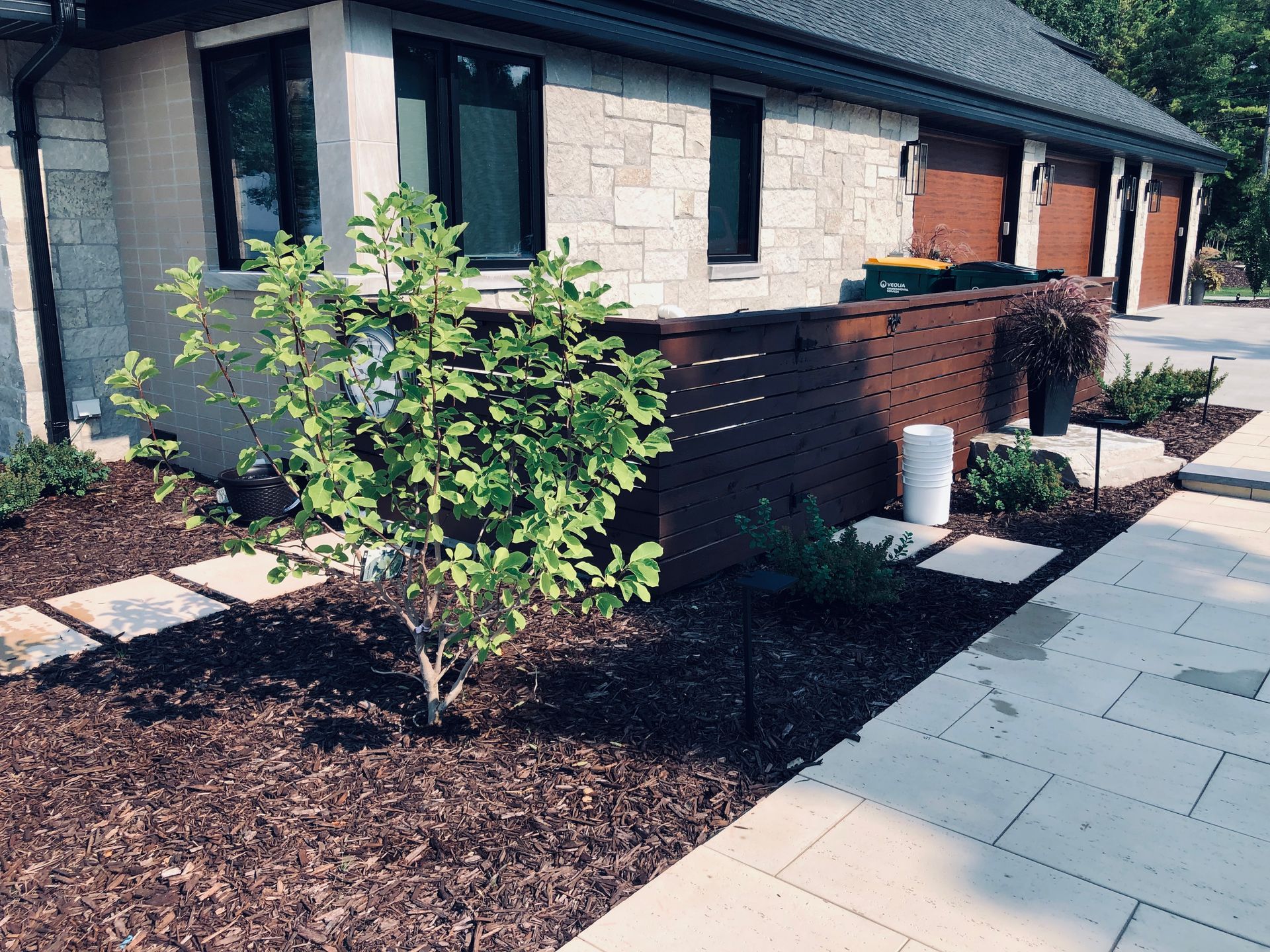 A house with a walkway and a tree in front of it