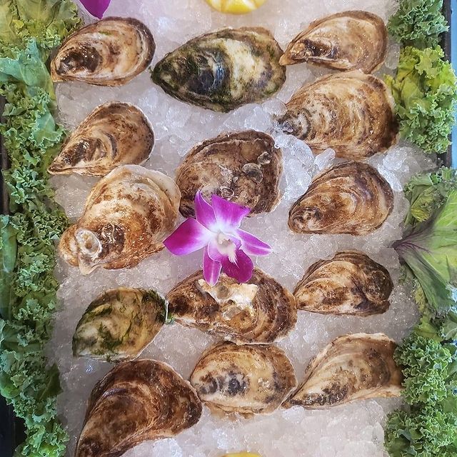 Seafood Restaurant Crabby's Oyster Bar Jensen Beach, FL