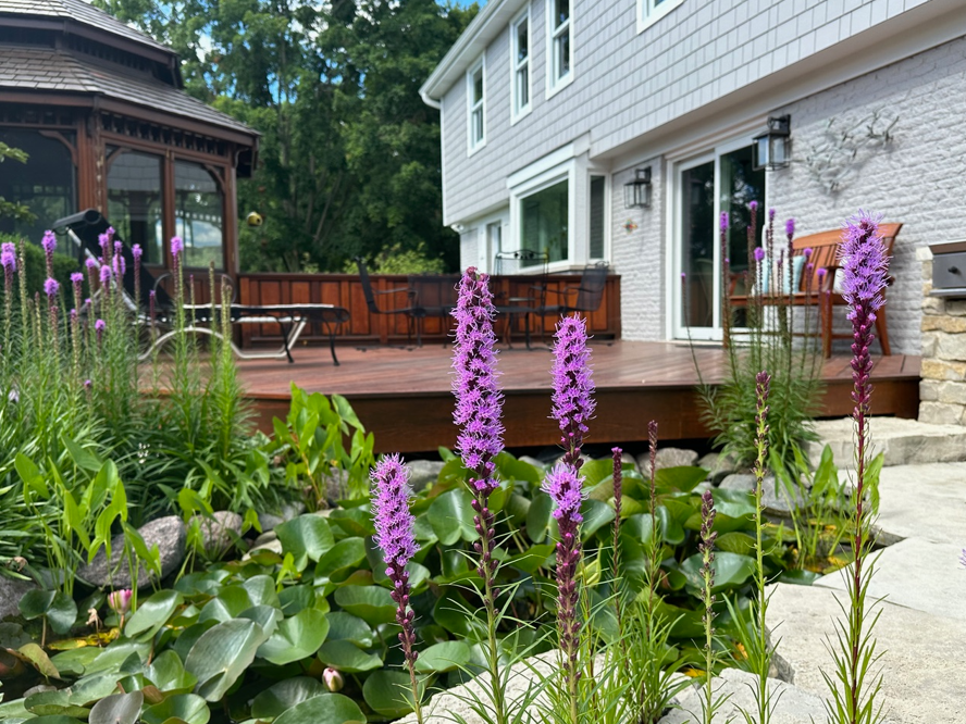 A deck with purple flowers and a gazebo in the background