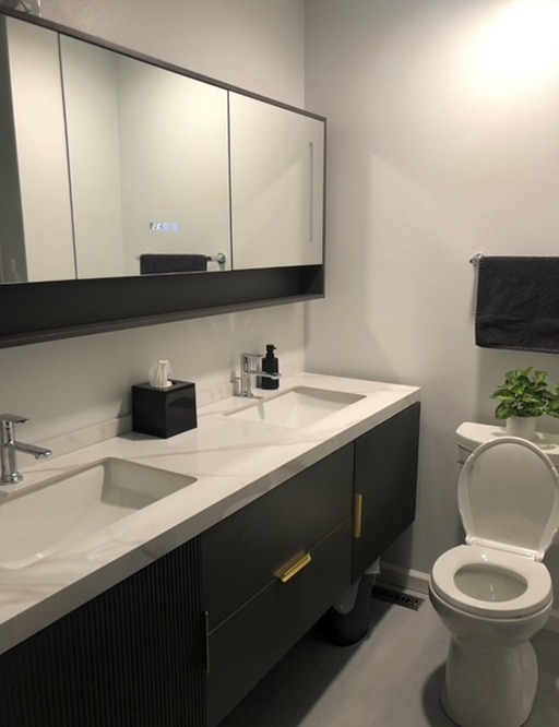 Modern bathroom with double sink vanity, mirrored cabinet, and toilet. Gray and white color scheme.