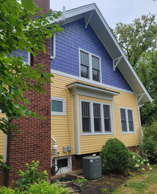 Purple and yellow house with back garden