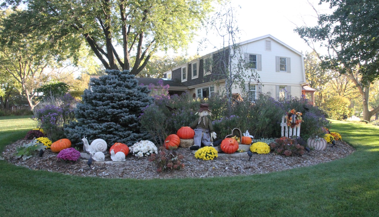 A garden with pumpkins and flowers in front of a house.