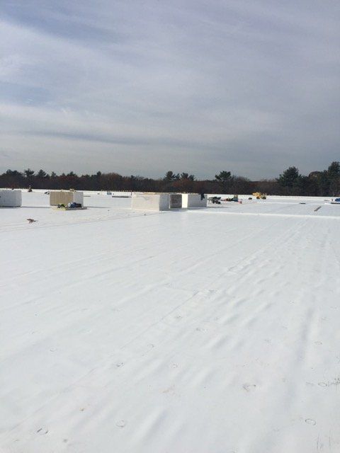 commercial roofing services