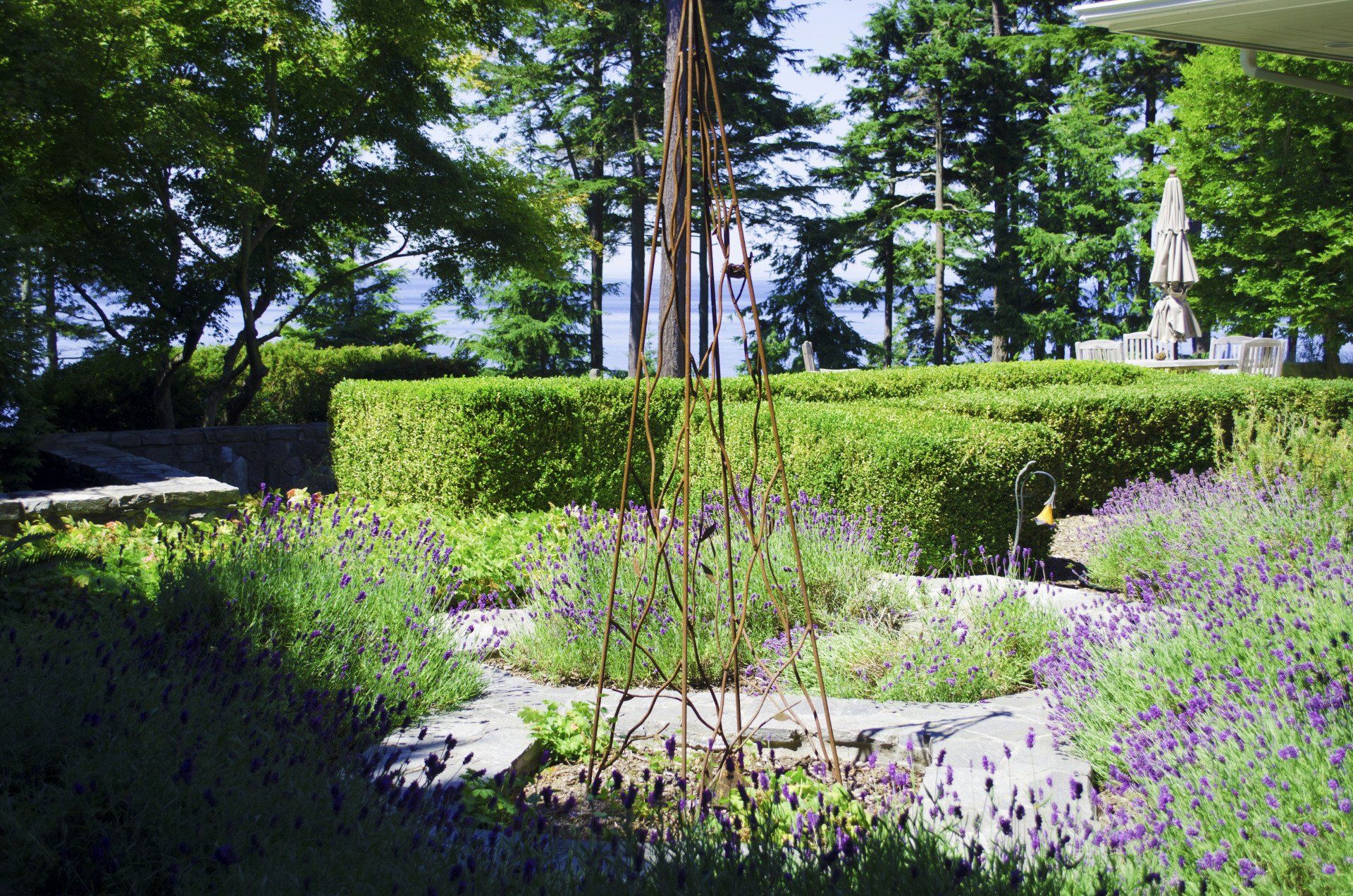A garden with purple flowers and trees in the background