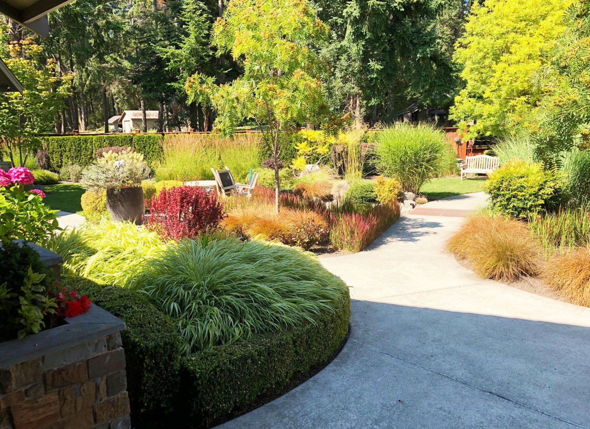 A lush green garden with a concrete walkway surrounded by trees and bushes