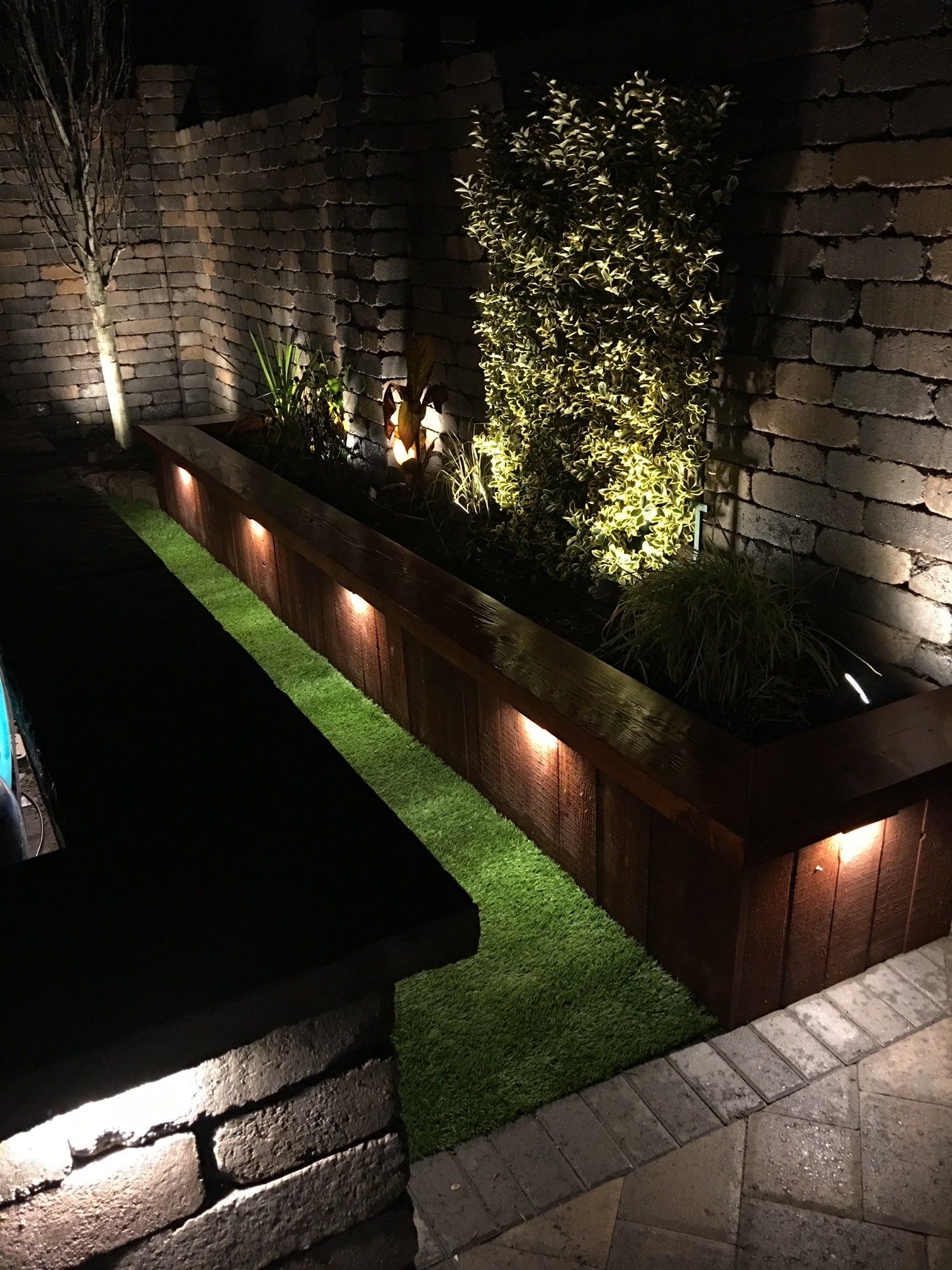 A wooden planter filled with plants is lit up at night.
