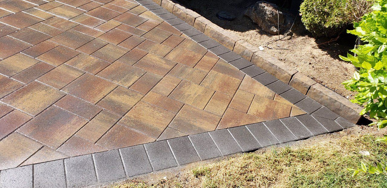 A brick walkway with a black border is surrounded by grass and bushes.