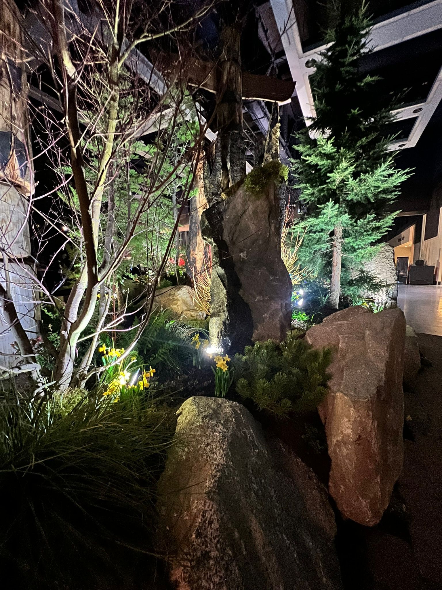 A rocky area with trees and rocks lit up at night.
