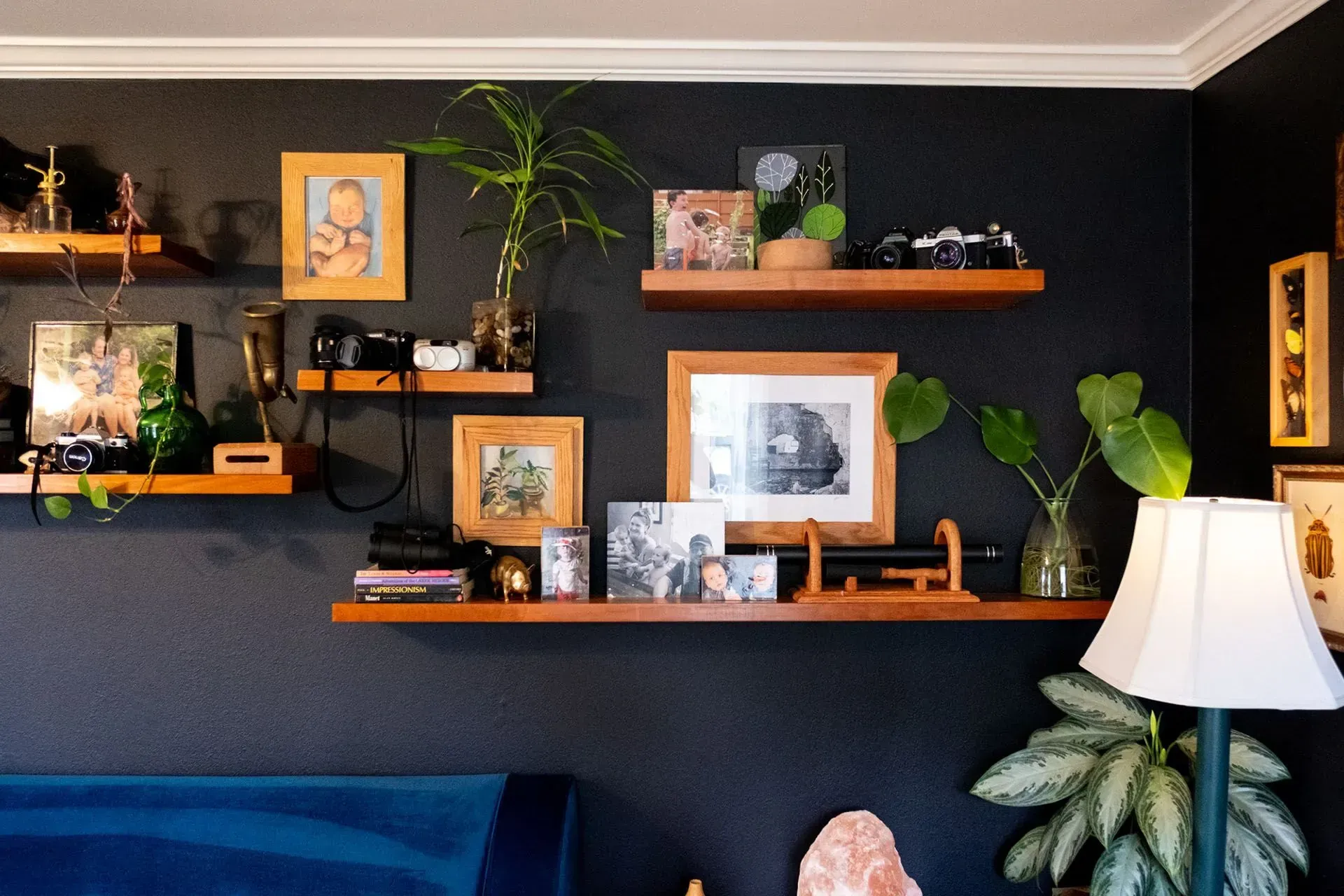 Dark blue wall with wooden shelves holding photos, plants, and decorative objects.