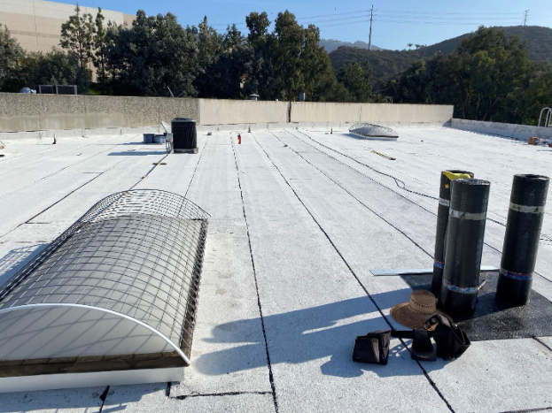 Flat commercial roof with skylights, vents, and utility equipment against a backdrop of trees and a bright blue sky.