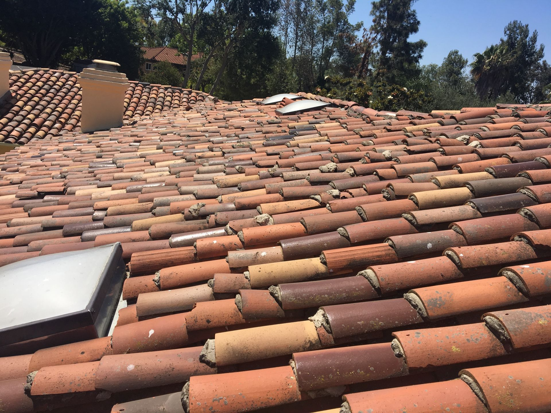 Clay tile roof with varying colors, skylights, and a chimney against a backdrop of trees.