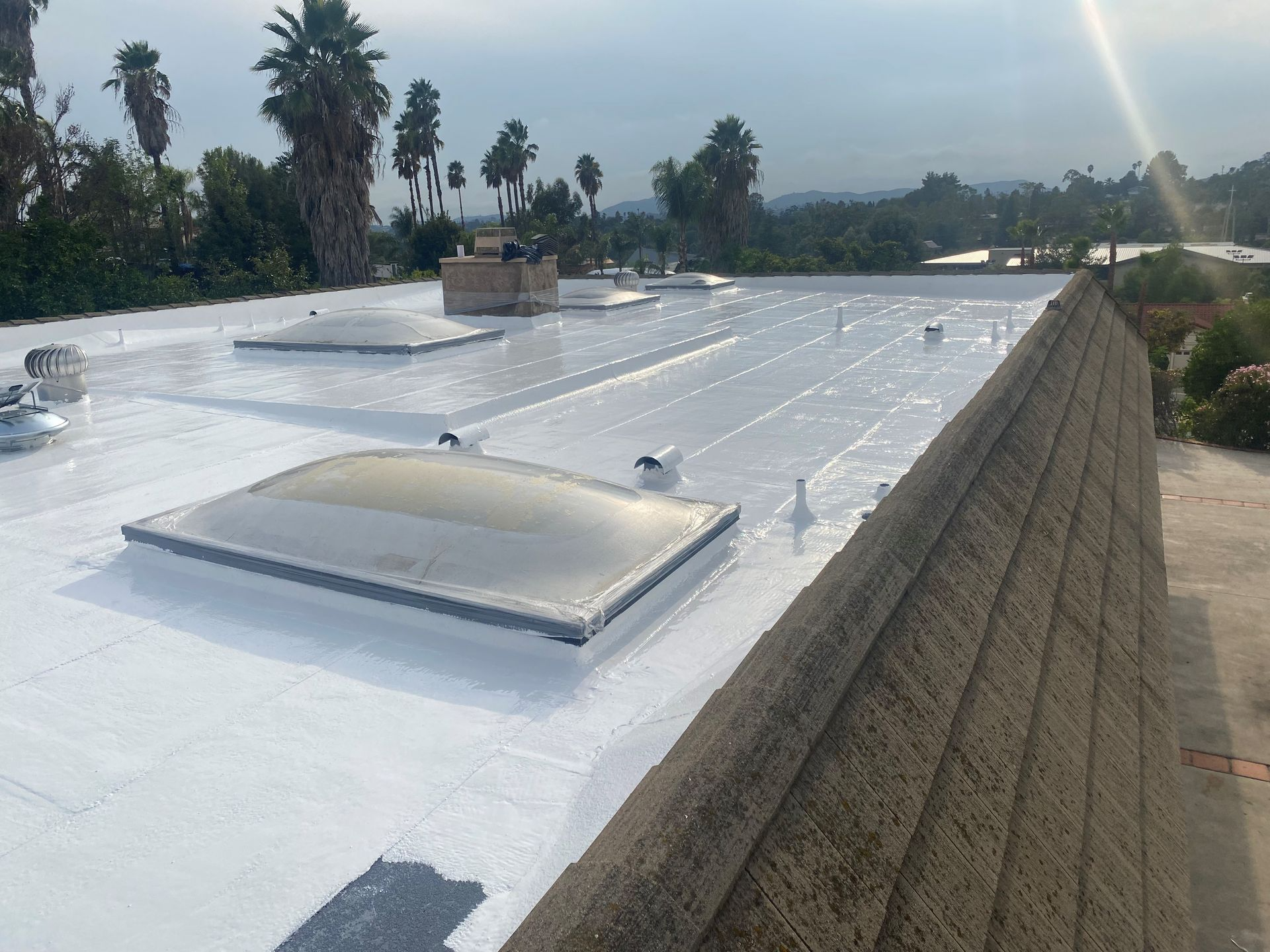 Flat white commercial roof with skylights; background of trees, hills, and a clear sky.