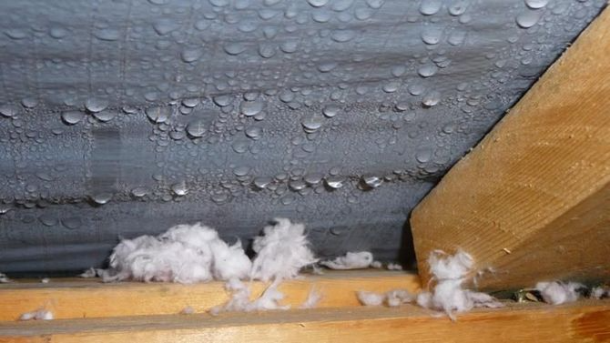 Condensation on roofing material with exposed wood beams and insulation.