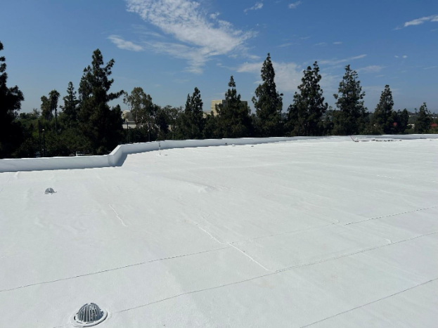 White flat roof with trees and blue sky in background.