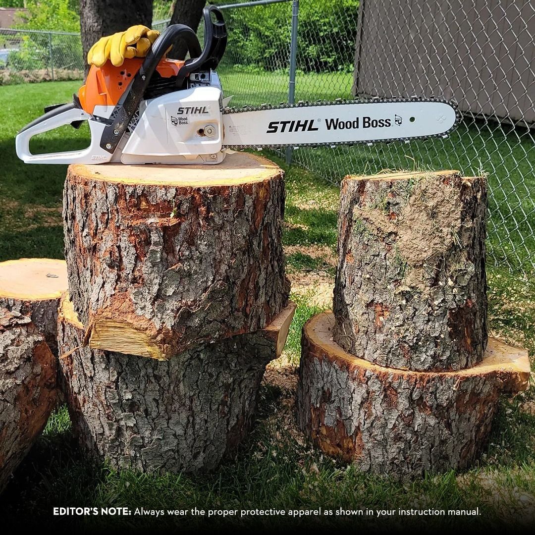 A chainsaw rests on freshly cut tree stumps in a yard.