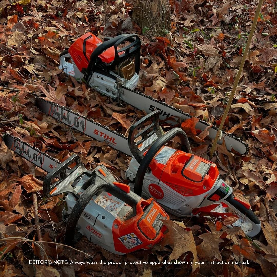 Three Stihl chainsaws lie on fallen autumn leaves.