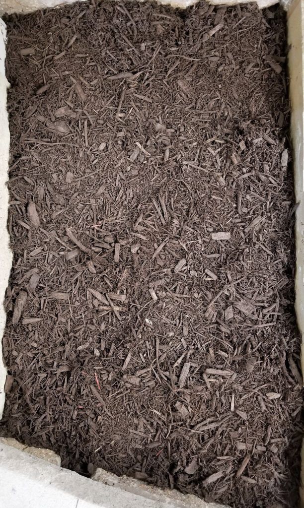 Red Dyed Mulch