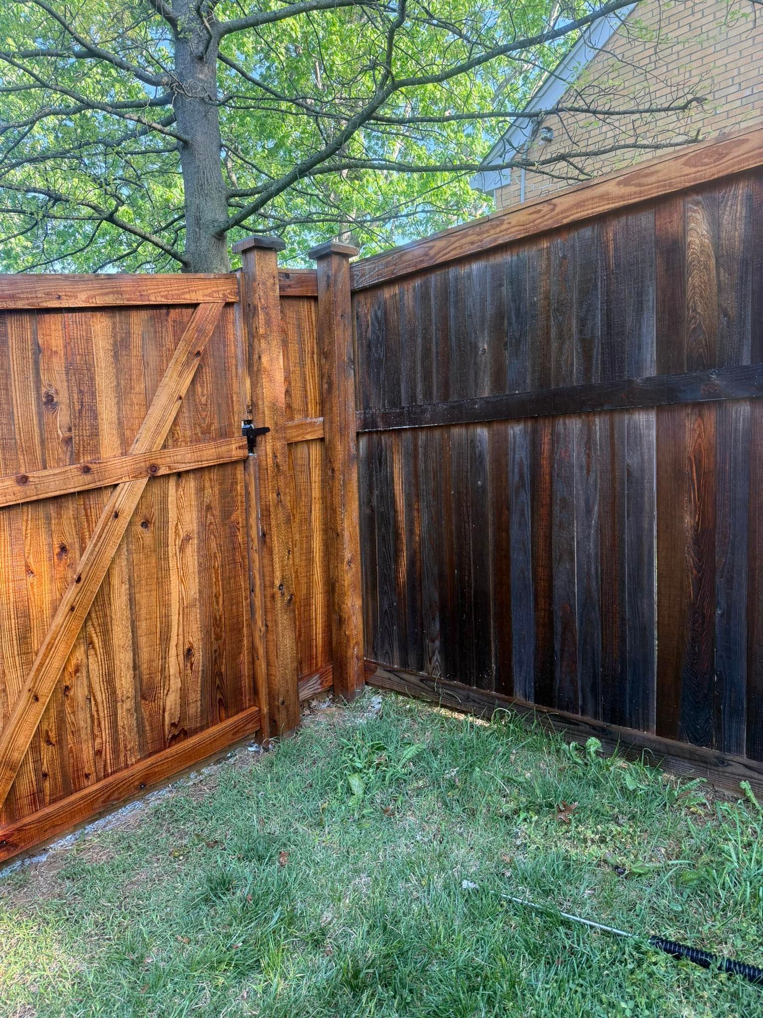 Wooden backyard fence and gate corner with green grass and tree branches overhead