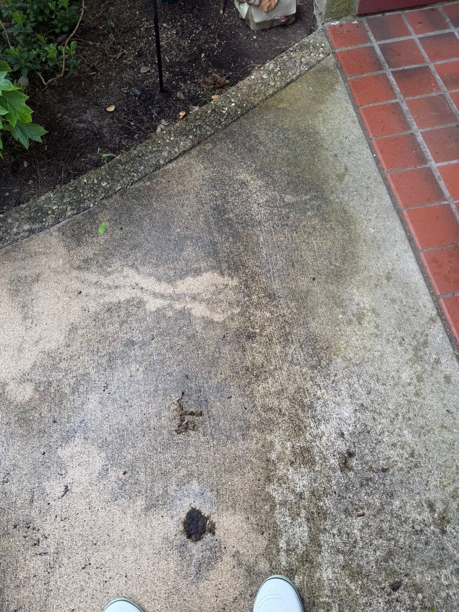 Concrete walkway beside red brick pavers and a small garden bed, with a person’s shoes at the bottom.