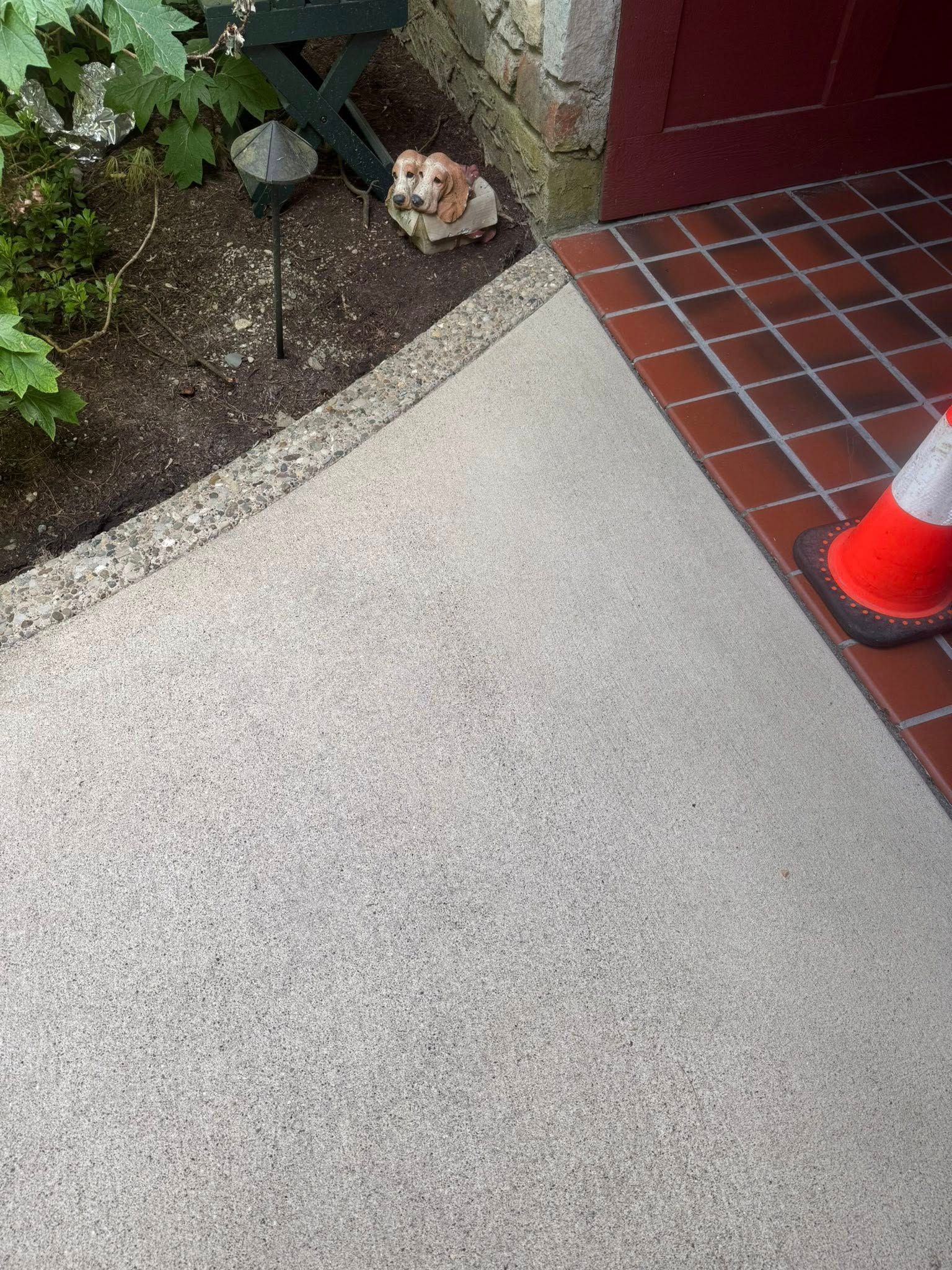 Small dog sitting by a garden bed next to a tiled entryway and orange traffic cone