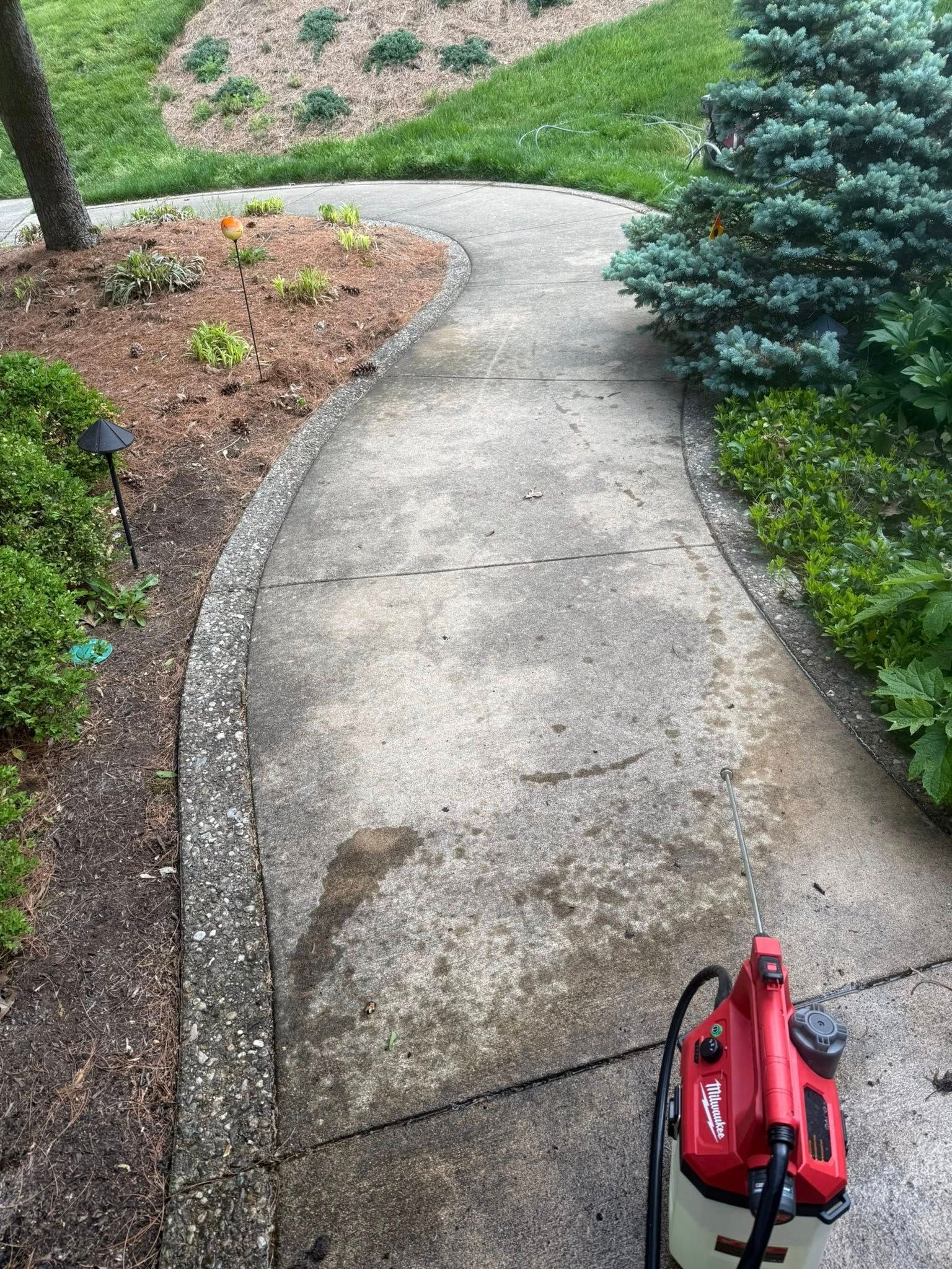 Curved concrete garden path with mulch and shrubs, and a red pressure washer at the bottom edge.