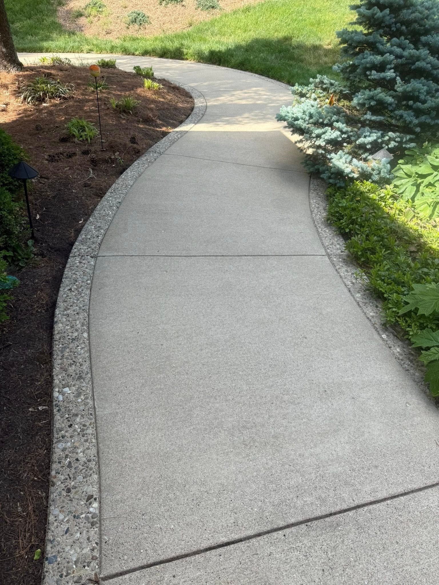 Curved concrete garden walkway bordered by mulch and green shrubs in a landscaped yard