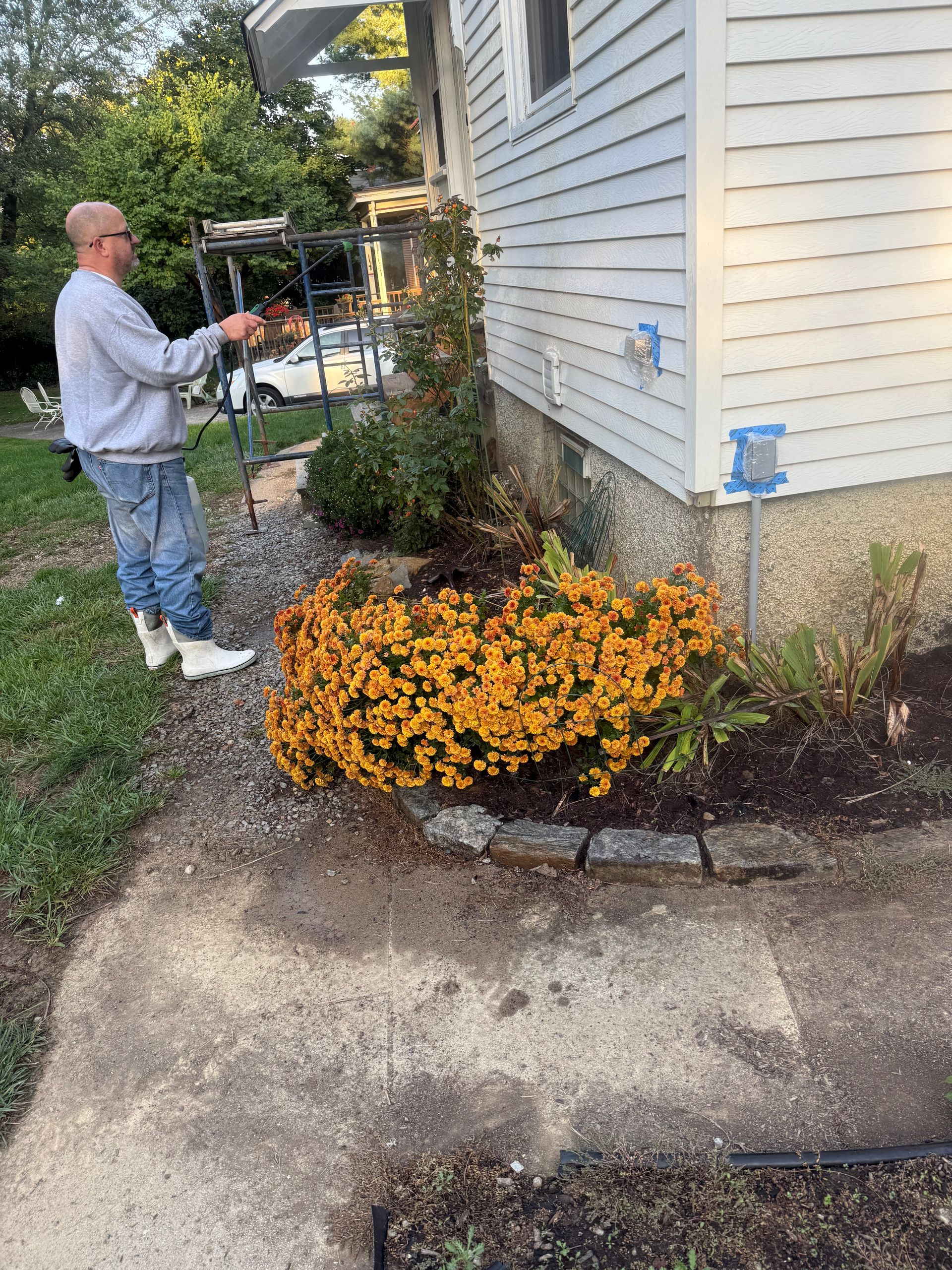 Person spraying bushes beside a house with orange flowers and a small tree in the yard