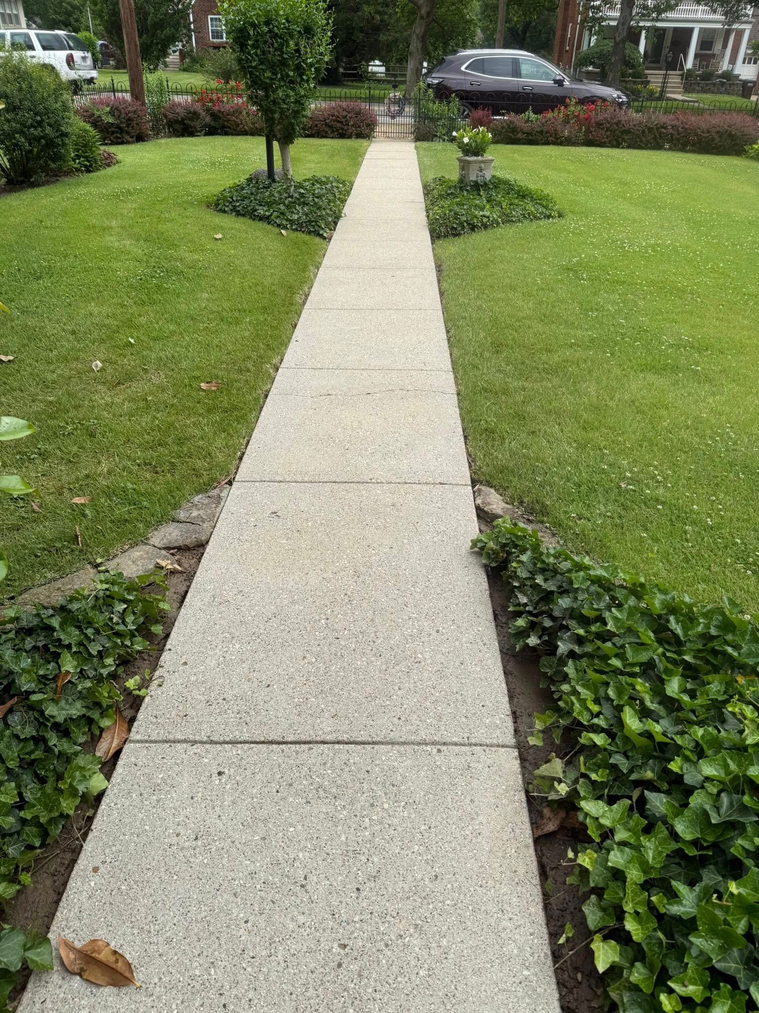 Concrete walkway through a green garden lawn leading to shrubs and parked cars in the background