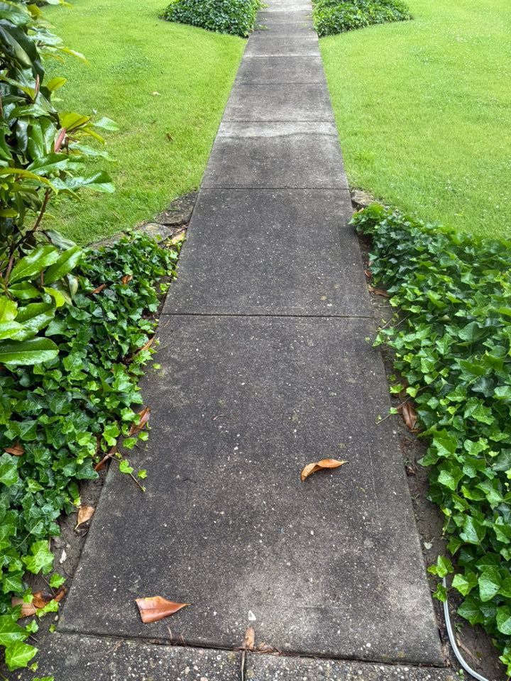 Narrow concrete sidewalk through a green lawn, with small plants along the edges and fallen leaves.