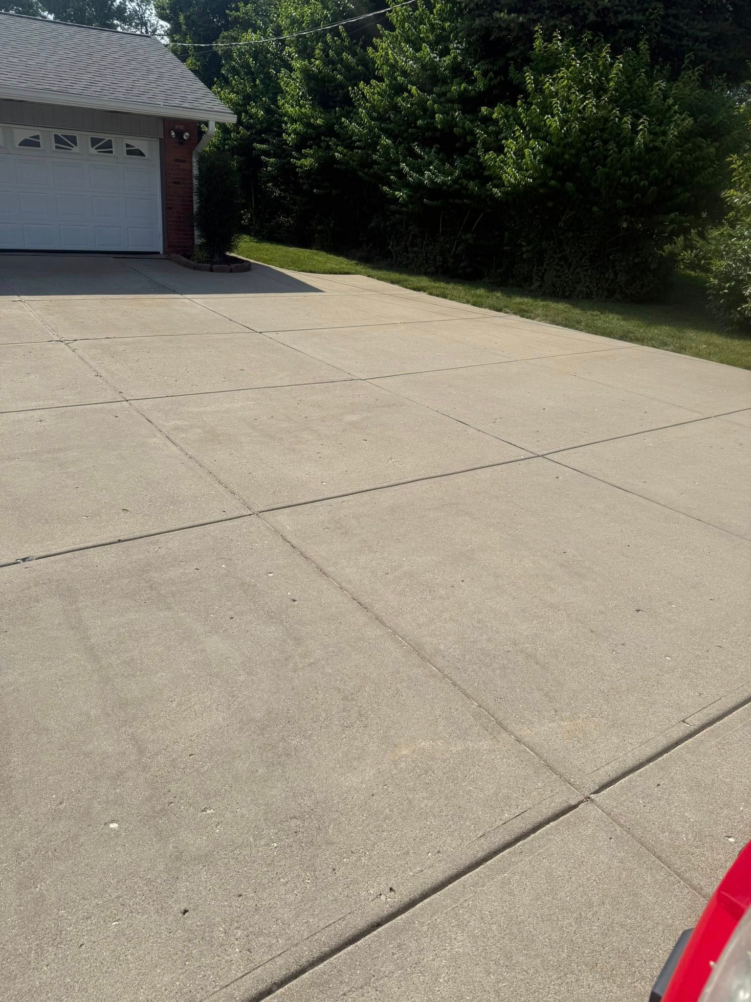 Concrete driveway beside a garage, bordered by trees and bushes in sunlight.