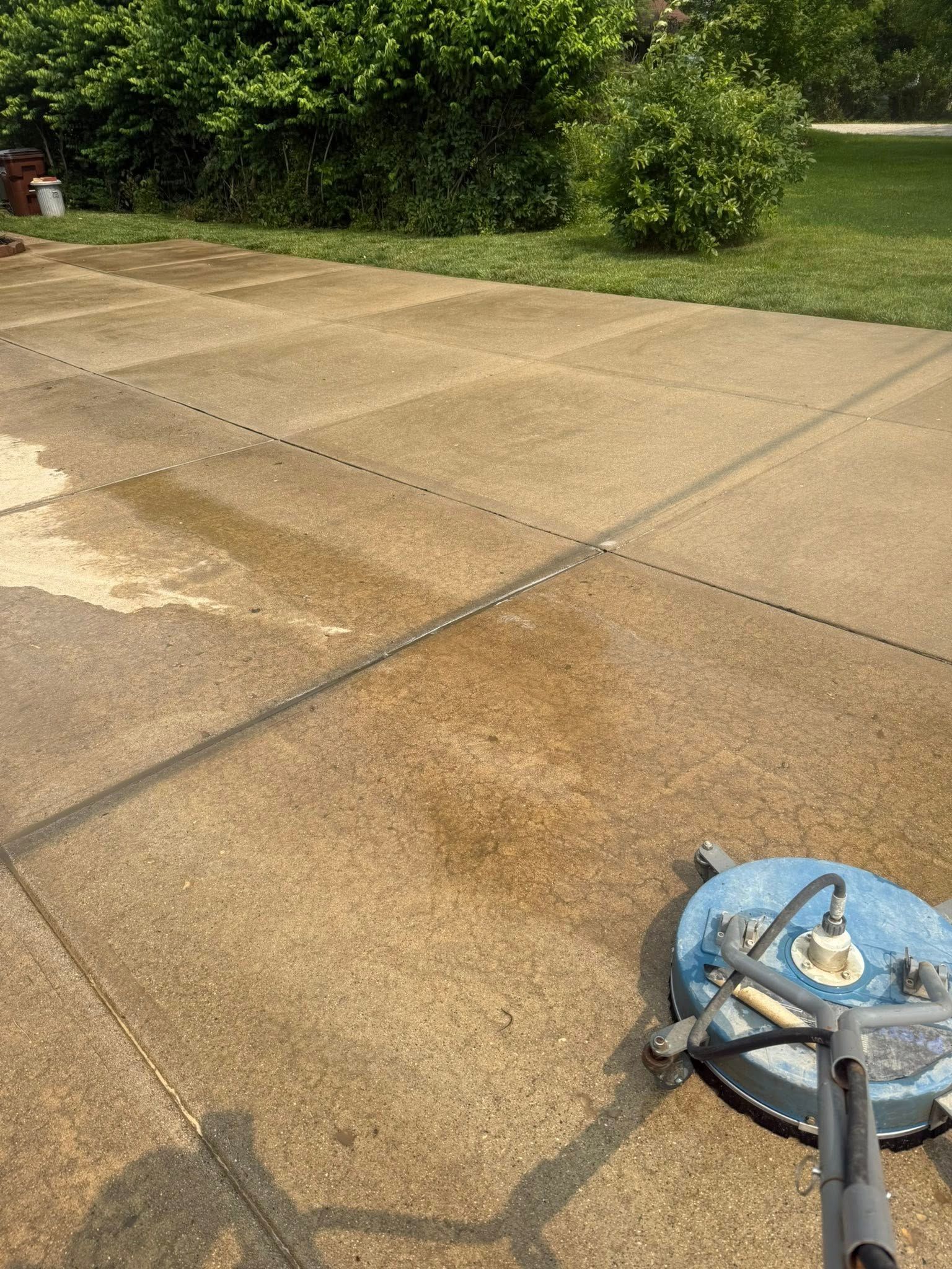 Blue pressure washer on a wet concrete driveway with bushes and grass in the background