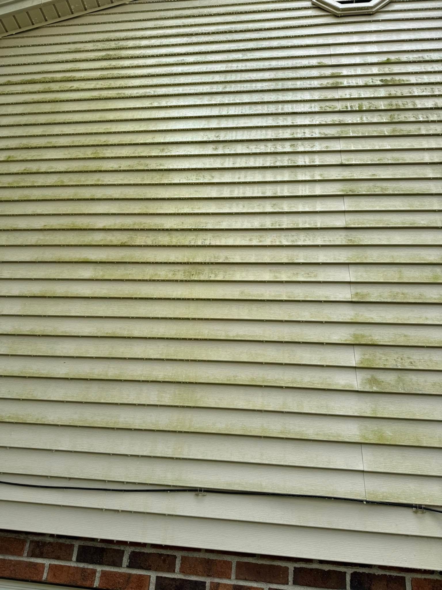 Close-up of a house exterior with pale vinyl siding above a red brick foundation.